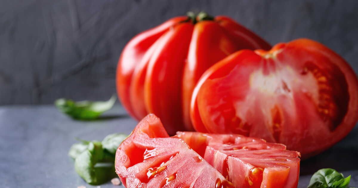 La tomate revisitée : un voyage culinaire de l'entrée au dessert