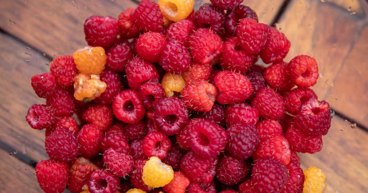 La délicieuse tarte aux framboises de Cyril Lignac à réaliser chez soi