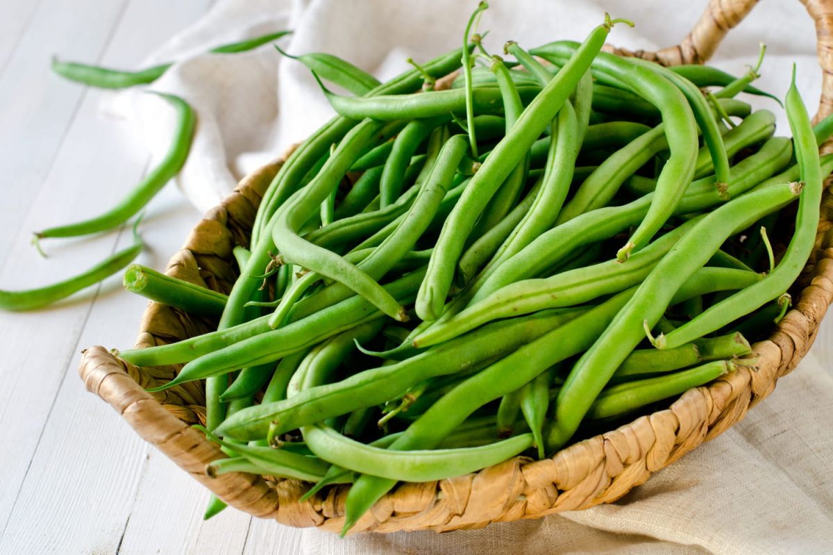 les secrets pour choisir des haricots verts tendres et savoureux