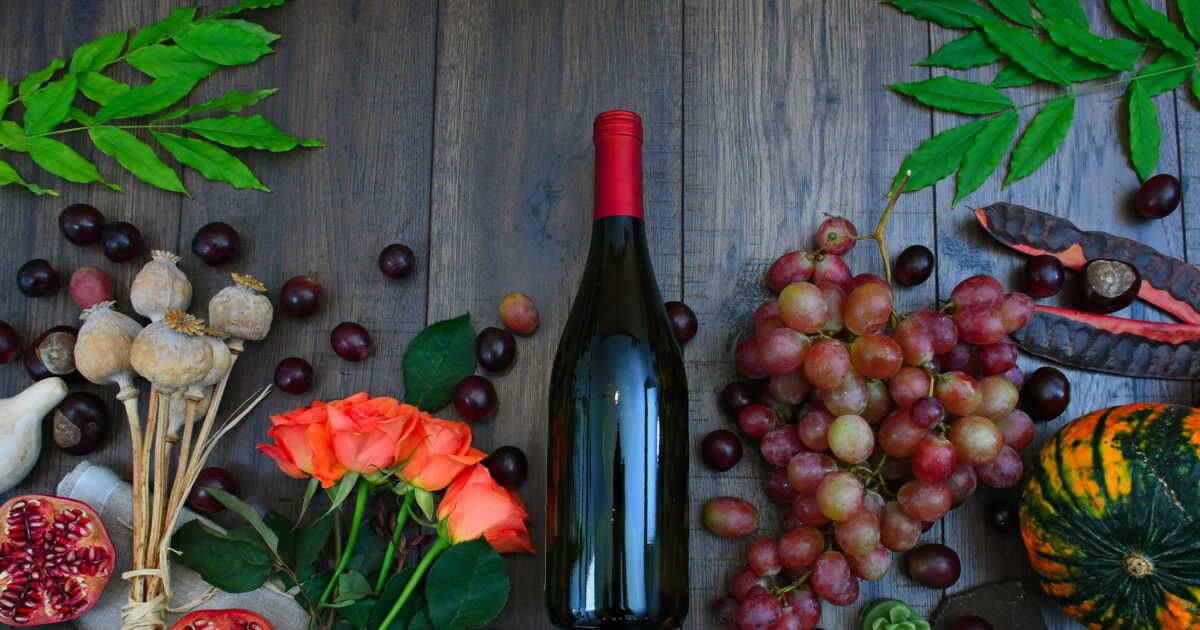 élaborez votre vin maison : un guide pratique