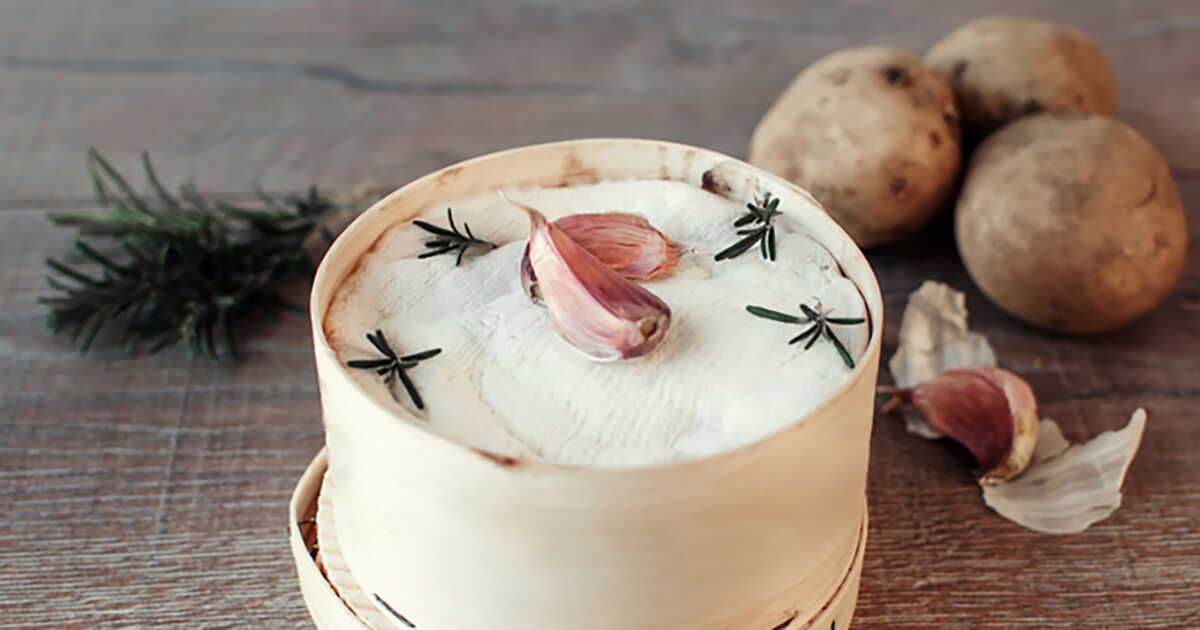 Des délices fondants : 3 recettes gourmandes au fromage