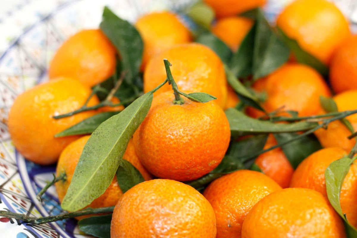 Clémentines corses : comment ne plus se laisser piéger lors de vos courses