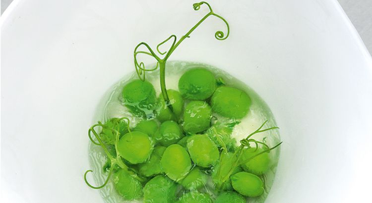 Petits pois en gelée