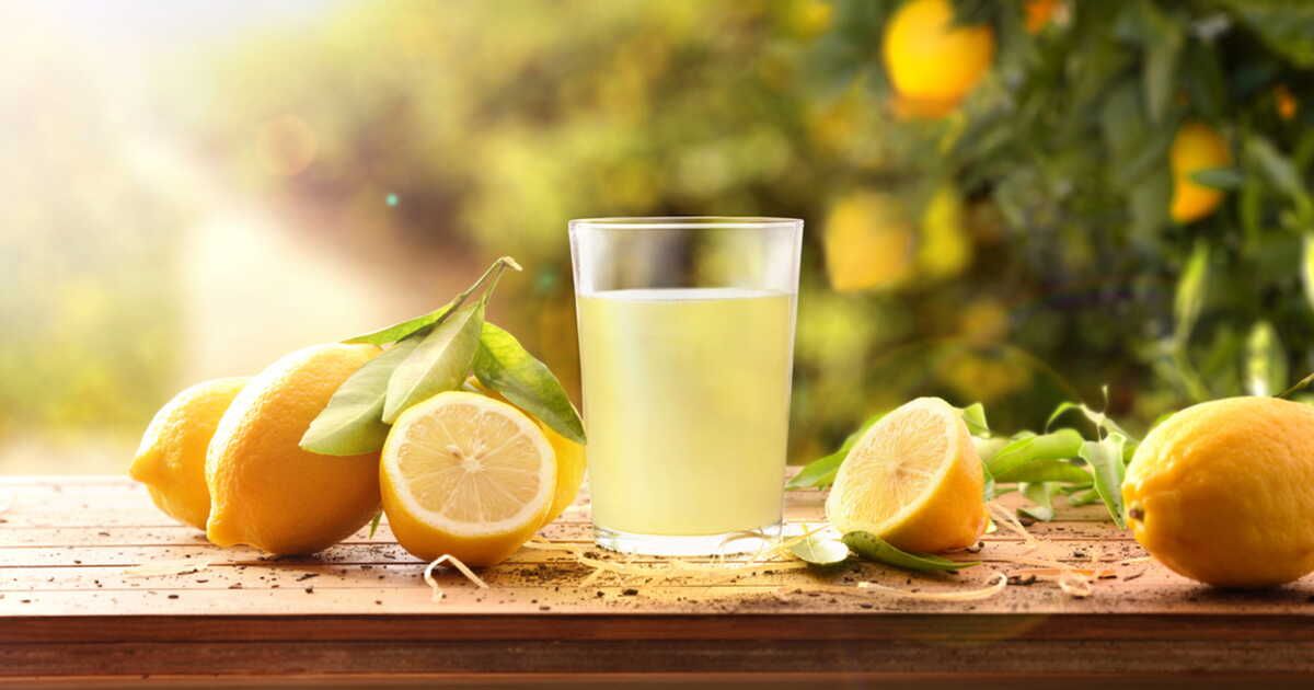 7 variétés de citron pour faire le plein de vitamines