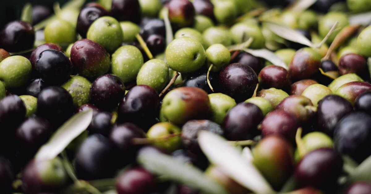 Comment choisir des olives savoureuses : un apéro réussi