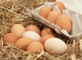 Intermarché lance un rappel d'oeufs et d'huile d'olive