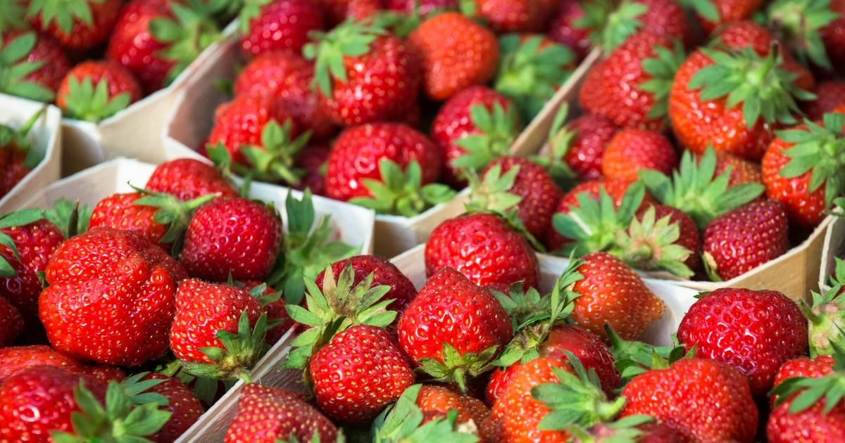 Les secrets des fraises : comment choisir les meilleures variétés