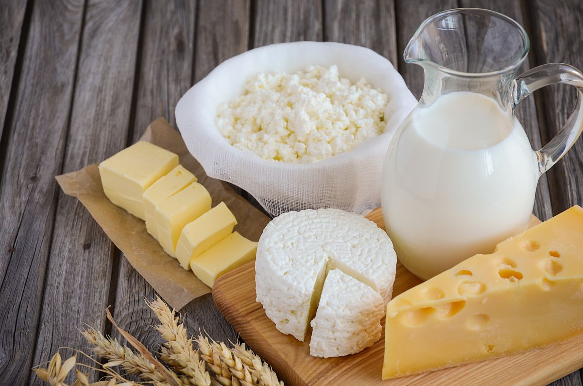 Les produits laitiers : véritable allié ou ennemi de notre santé ?
