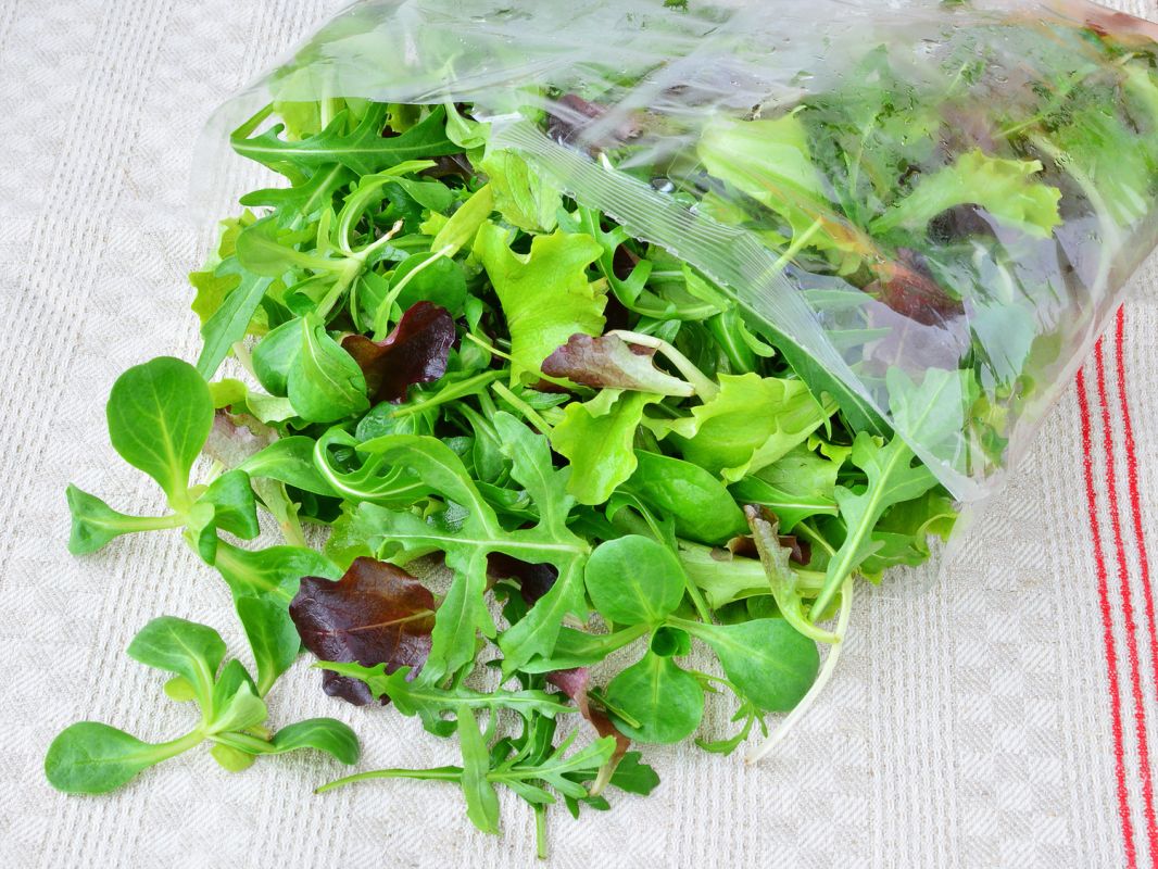 Les salades en sachet : un choix pratique qui a ses avantages