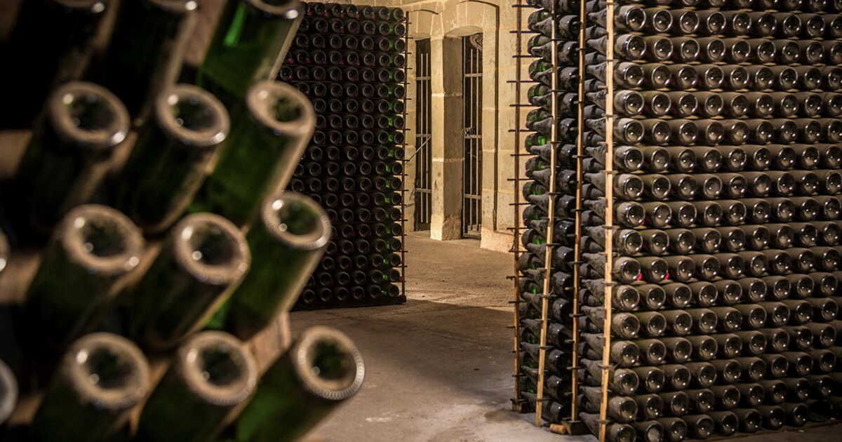 Découverte des délices du Val de Loire : de la cave à l'assiette