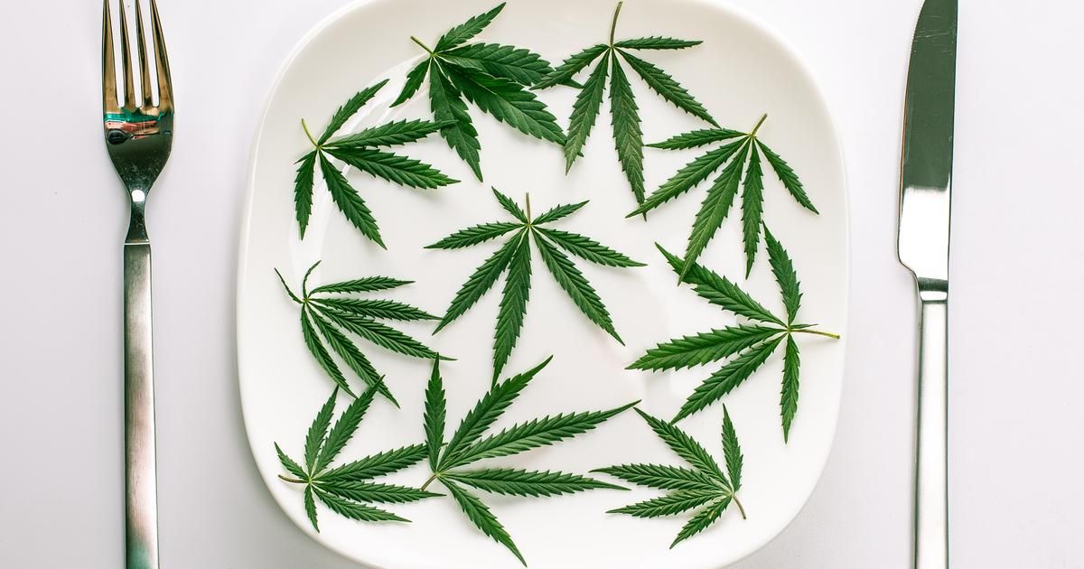 Le CBD s'invite à table : entre tendance et réalité gustative
