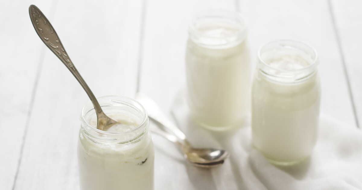 Le guide parfait pour réussir ses yaourts maison