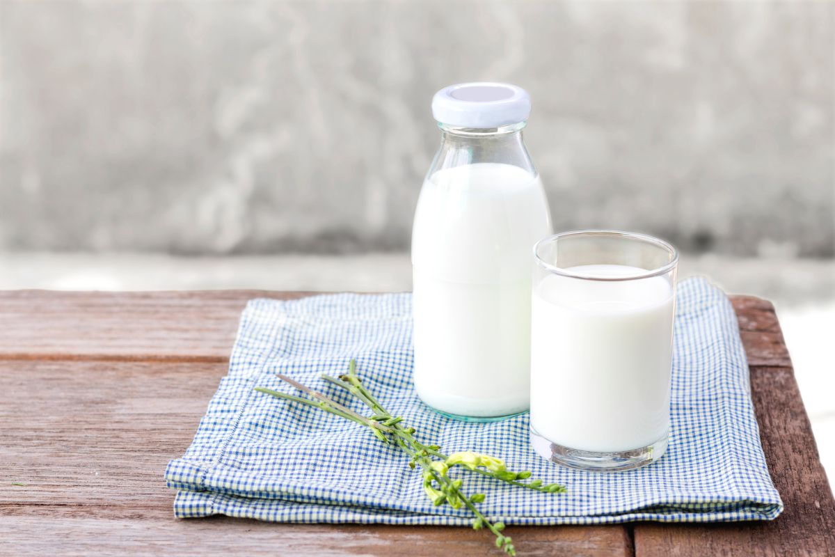Le lait entier, nouvel allié pour une vie plus longue