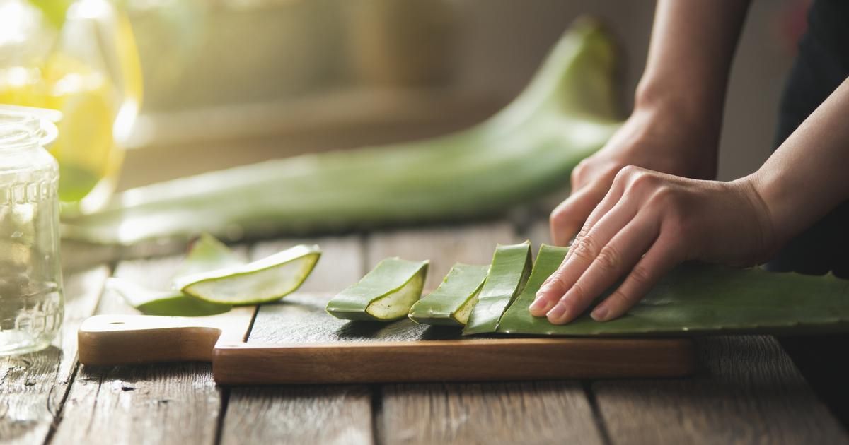 Les vérités cachées sur l'aloe vera : méfiance ou bienfait ?