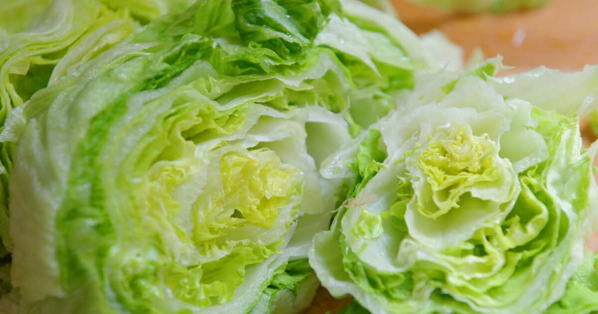 Laver la salade iceberg : indispensable ou superflu ?