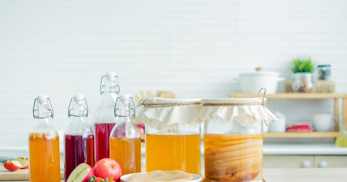 Kombucha fait maison : découvrez ses bienfaits et notre recette inédite