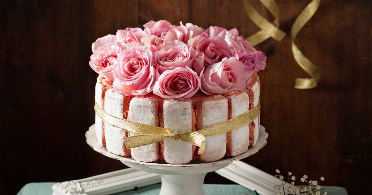 Charlotte à la rose : une douceur raffinée à découvrir