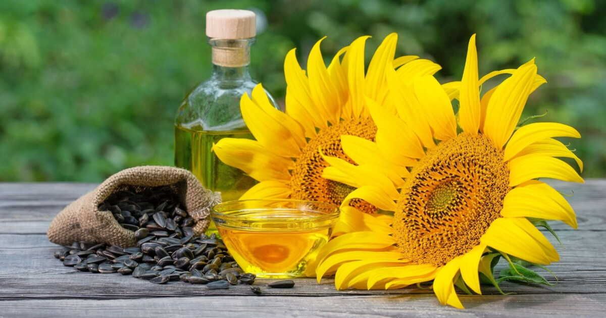 Des changements inattendus dans les produits à base d'huile de tournesol en France