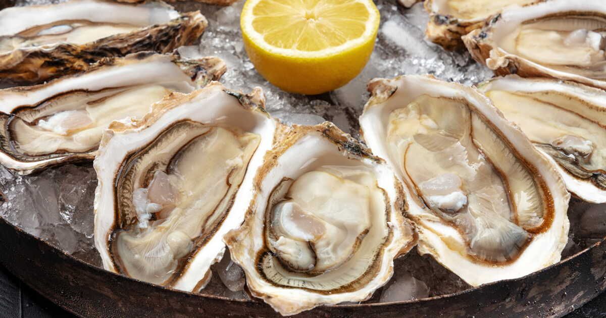 Qu’est-ce qu’une huître laiteuse et peut-on la manger ?