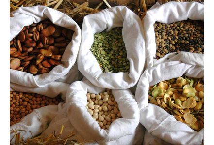 Manger végétal pour vivre mieux : les protéines qui sauvent